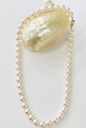Classic Akoya Pearl Necklace